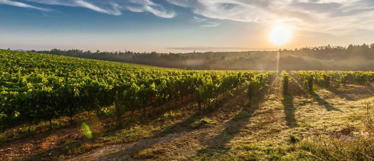 Toscaans landgoed op een heuvel omringd door cipressen bij zonsopgang.