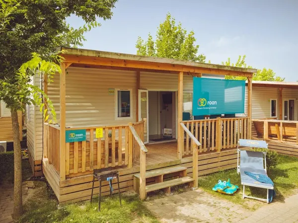 De Roan Premium relax.