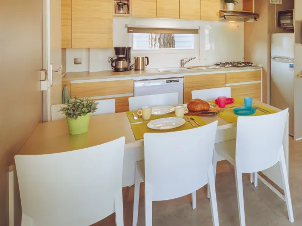 De Roan Premium Lounge is voorzien van een gezellige woonkamer met eettafel en keuken.