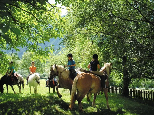 Paardrijden in de omgeving bij Roan camping Bella Austria.