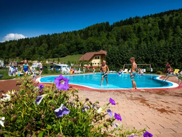 Overzicht zwembad van Roan camping Bella Austria.