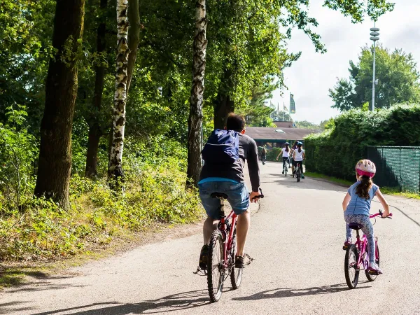 Fietsende man en kind op Roan camping De Schatberg.