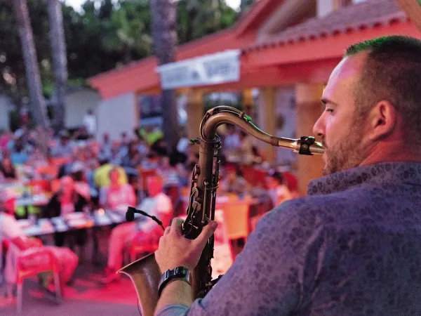 Live muziek avond bij Roan camping Les Sablines.