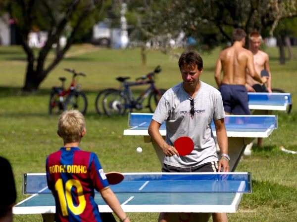 Tafeltennis bij Roan camping Pra'delle Torri.