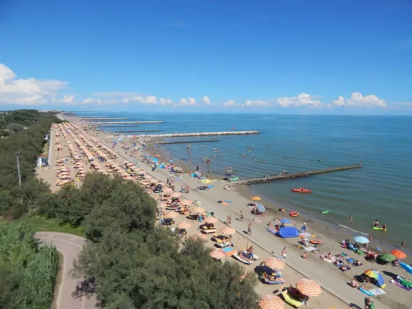 Strand met ligbedjes en parasols op Roan camping Pra'delle Torri.