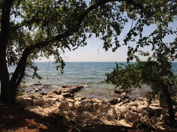 De kust bij Roan camping Park Umag.