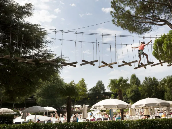 Boomklim parcours op Roan camping hu Altomincio village.
