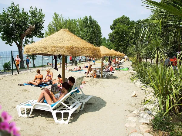 Lig bedden en parasols aan het meer bij Roan camping Cisano San Vito.
