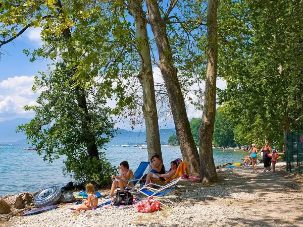 Relaxen aan het Gardameer bij Roan camping Cisano San Vito.