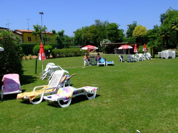 Grasligweide bij het zwembad op Roan camping La Rocca Manerba.