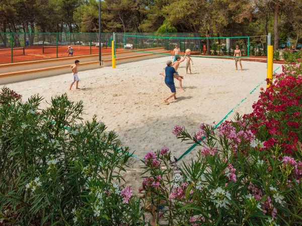 Volleybal spelen op Roan camping Lanterna.