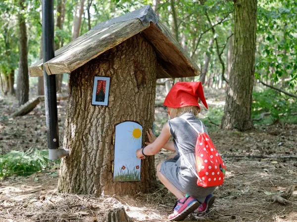 Kabouterpad in het bos wandelen vanaf Roan camping Terspegelt.