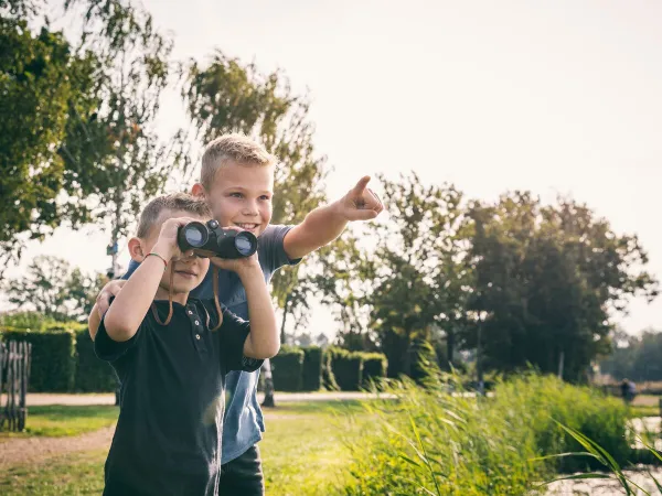 Waterskiers spotten bij de visvijver op Roan camping De Schatberg.