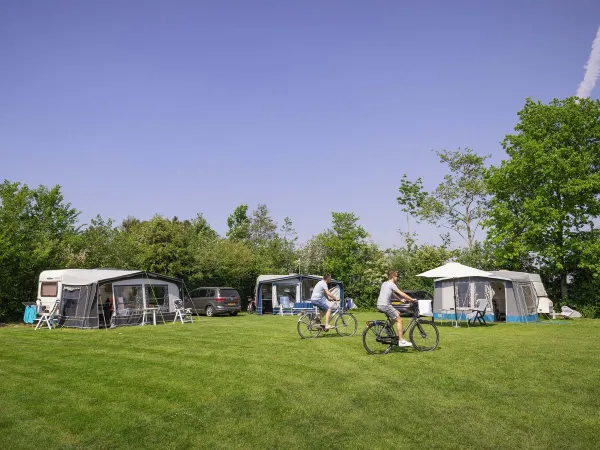 Grasveld met kampeerplaatsen op Roan camping Marvilla Parks Friese Meren.