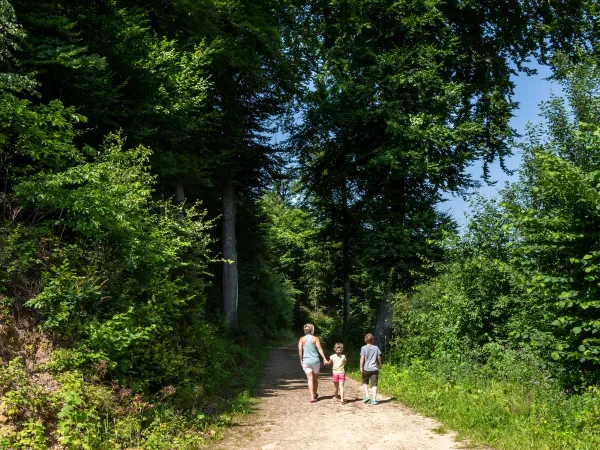 Wandelroute in de omgeving van Roan camping hu Birkelt village.