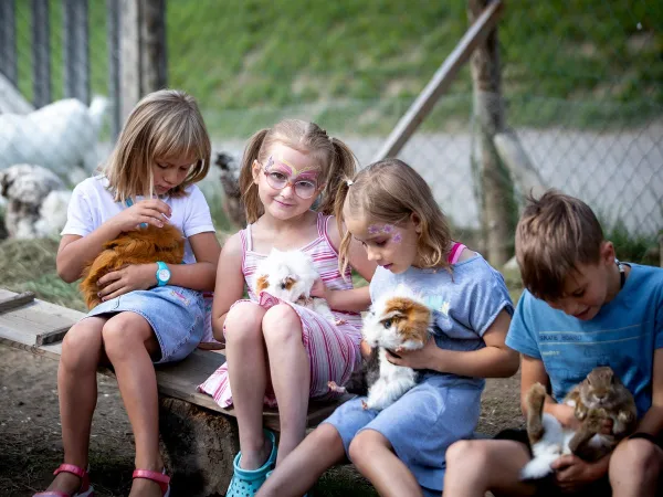 Dierenpret bij Roan camping Bella Austria.