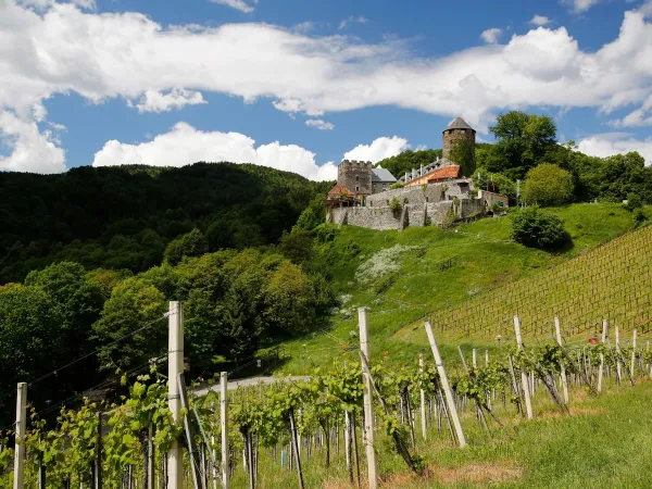 Een kasteel in de omgeving van Roan camping Bella Austria.