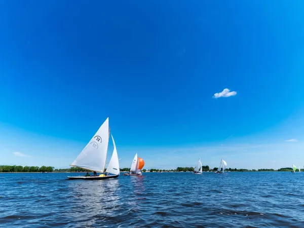 Boot op het Slotermeer bij Roan camping Marvilla Parks Friese Meren.