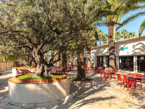 Terras en bar bij Roan camping La Baume.