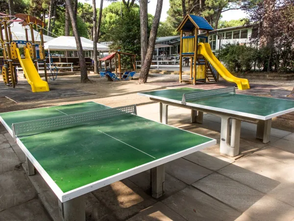 Pingpong tafels en glijbanen in de speeltuin op Roan camping Sole Family Camping Village.