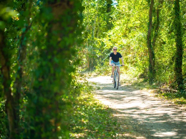 Fietsroute in de buurt van Roan camping du Latois.