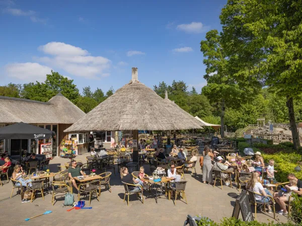 Levendig terras op Roan camping Marvilla Parks Kaatsheuvel.