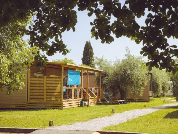 Supreme lounge bij Roan camping Piantelle.