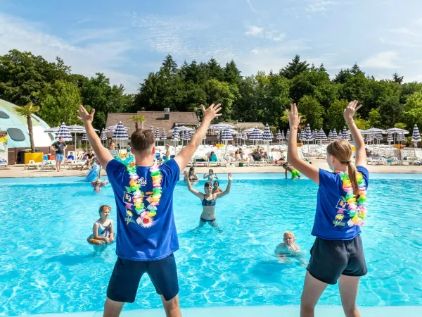 Zwembadanimatie bij Roan camping hu Birkelt village.