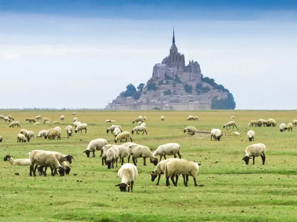 De omgeving van Bretagne vlakbij Roan camping La Vallée.