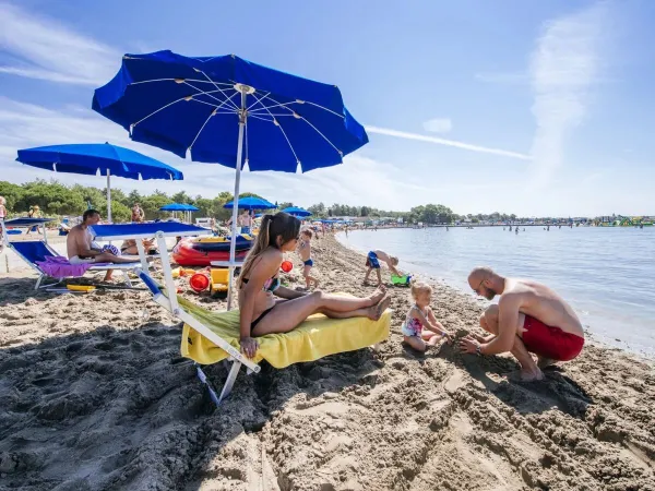 Strand met ligbedden op Roan camping Zaton Holiday Resort.