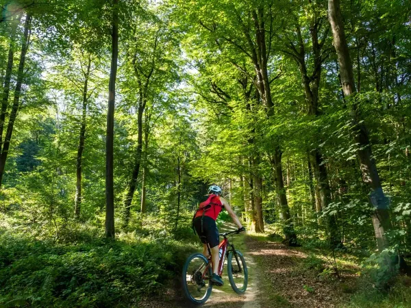 Mountainbiken in de mooie natuur in Luxemburg op Roan camping hu Birkelt village.