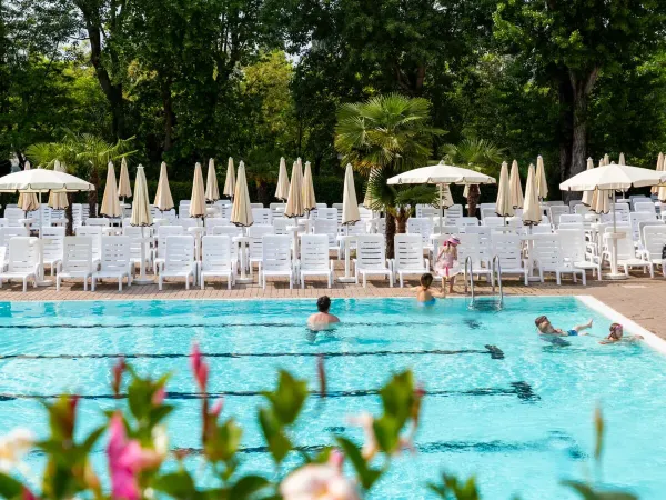 Olympisch zwembad op Roan camping Altomincio Family Park.