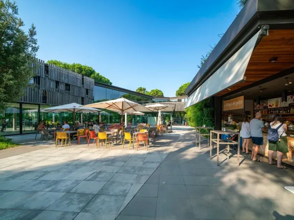 Terras op Roan camping Ca'Savio.