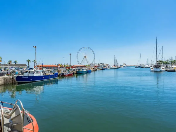 Het dorpje op loopafstand Saint-Cyprien, van Roan camping Le Soleil de la Méditerranée.