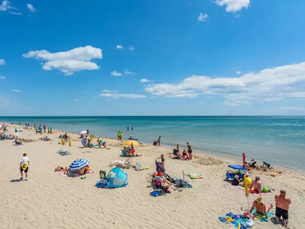 Het fijne zandstrand op Roan camping Les Méditerranées Beach Garden.