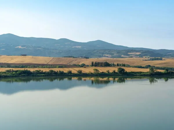 Een prachtig toscaans uitzicht bij Roan camping Del Forte.