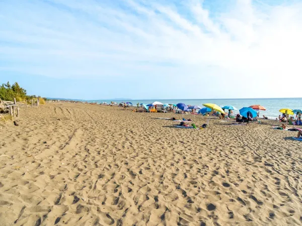 Het strand bij Roan camping Del Forte.
