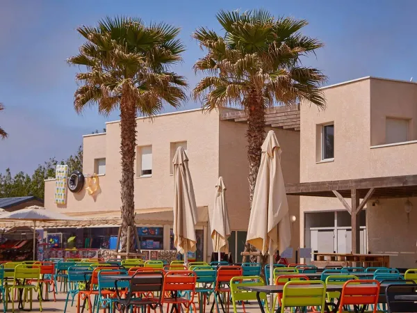 Het kleurrijke terras met palmbomen op Roan camping Le Petit Mousse.