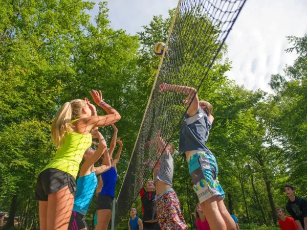 Kinderen spelen een potje volleybal op Roan camping Le Lac des Vieilles Forges.