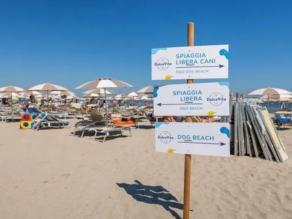 Het zandstrand aan de Adriatische Kust direct gelegen aan de camping.