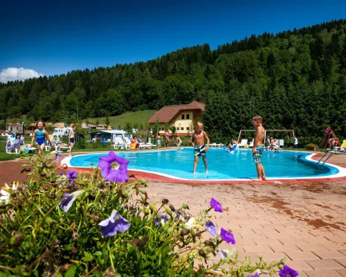 Overzicht zwembad van Roan camping Bella Austria.