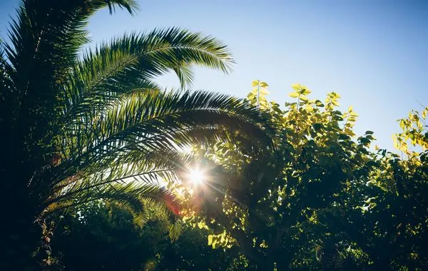 Natuur in Catalonië