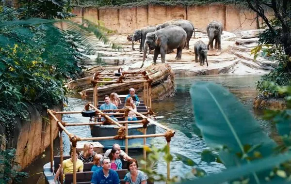 Campings bij een dierentuin