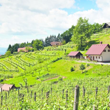 Een last minute vakantie boeken naar Slovenië