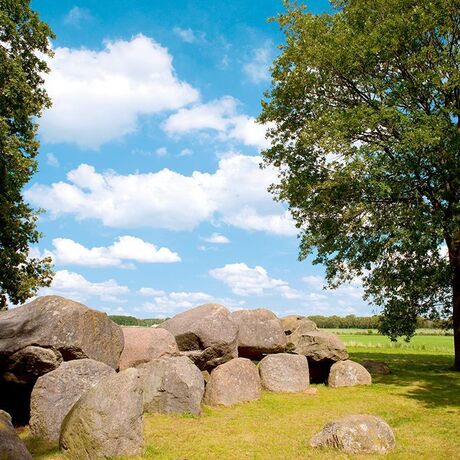 Onze campings in Drenthe