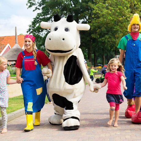 Onze camping in de Achterhoek