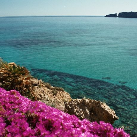 Zon, zee en strand op een topcamping in Spanje