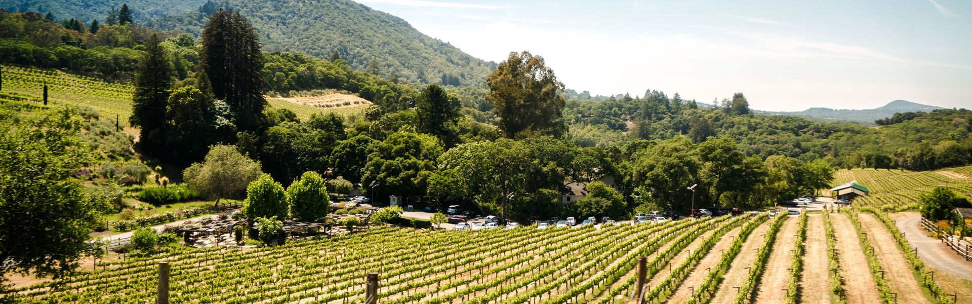 Last minute campings Provence
